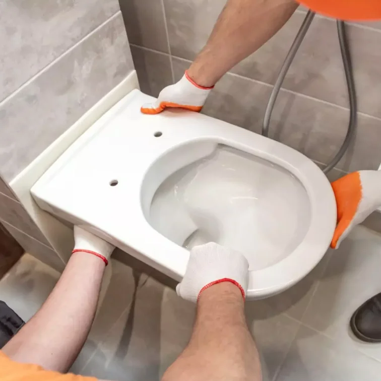 Toilet Installation Erin